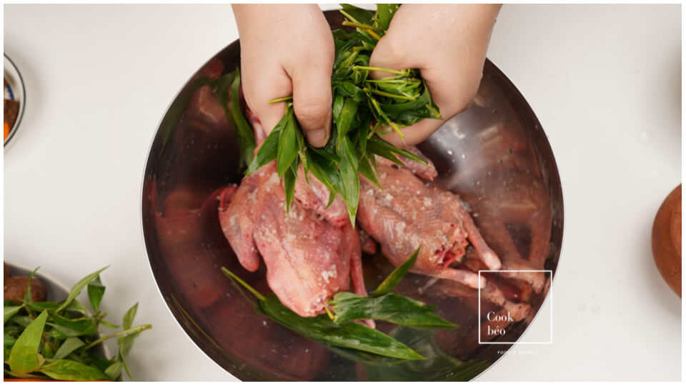 Cách sơ chế thịt chim bồ câu sạch, không bị hôi để món ăn thơm ngon hấp dẫn