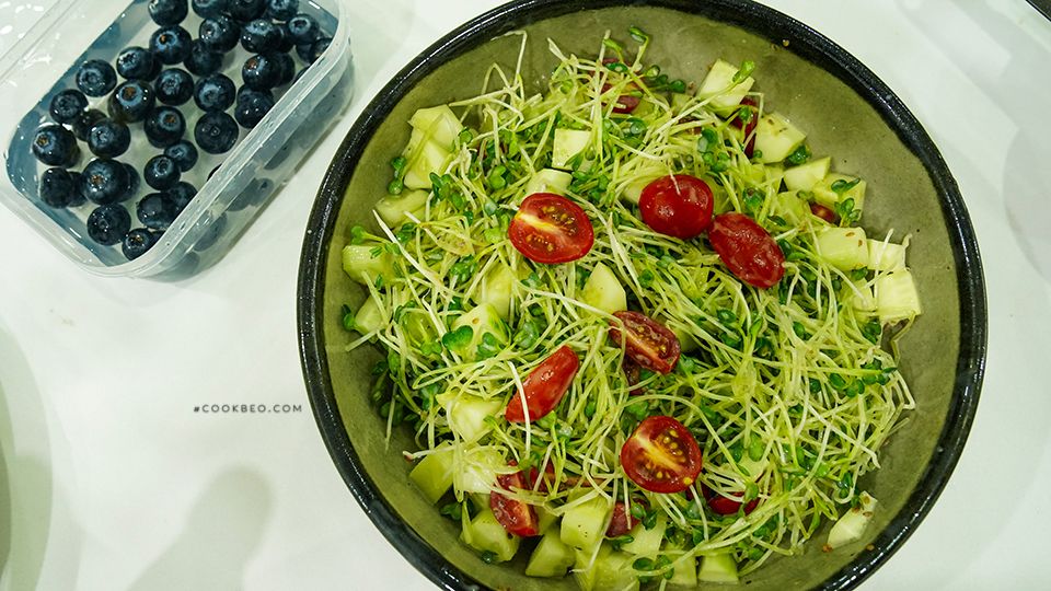 Cách Làm Salad Rau Mầm, Ăn Ngon Không Đắng