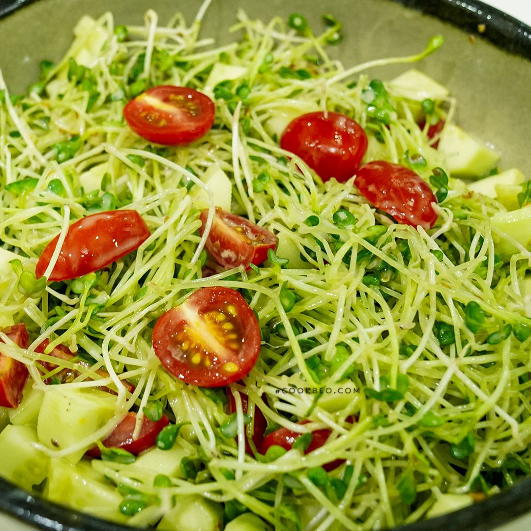 Cách Làm Salad Rau Mầm, Ăn Ngon Không Đắng